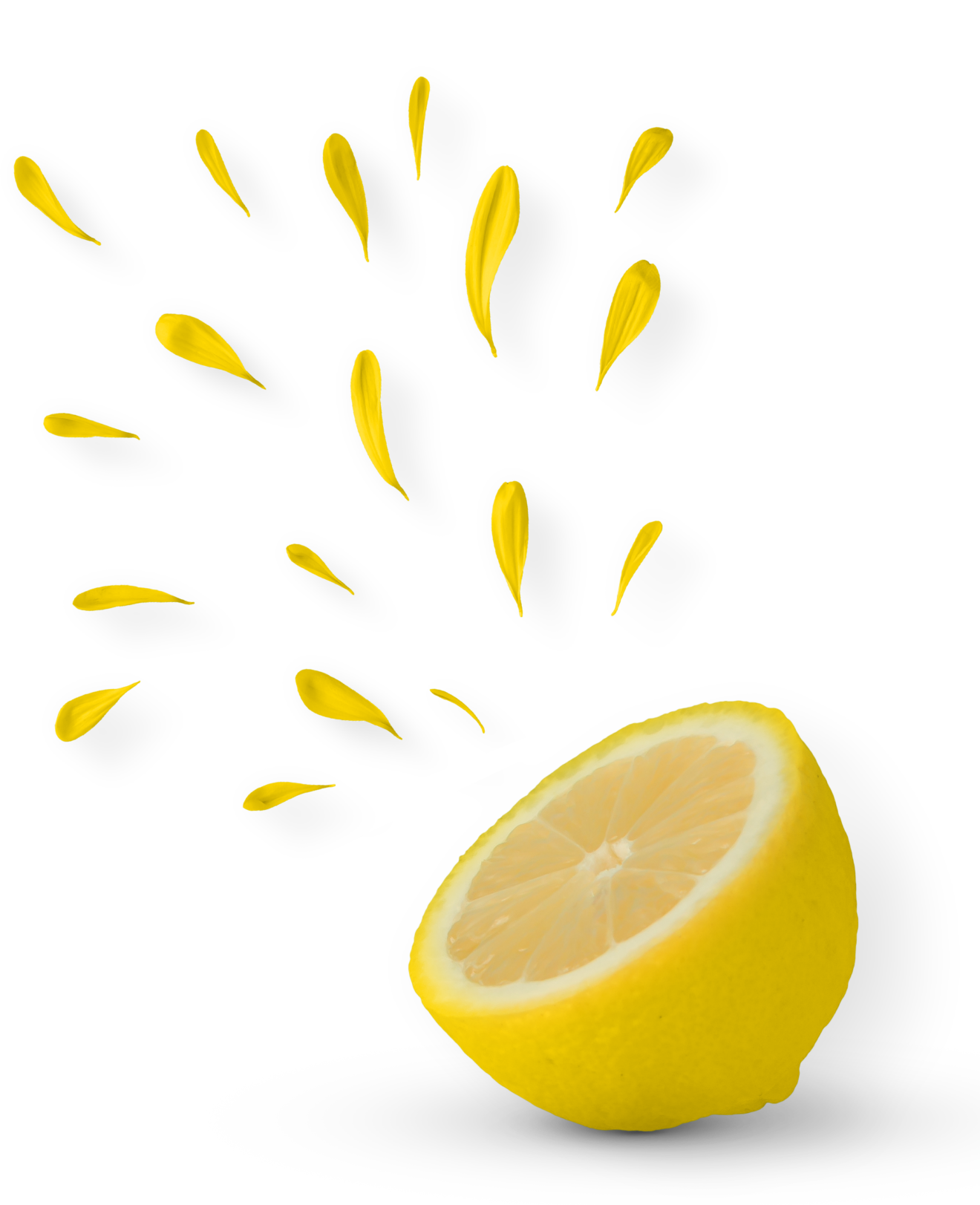 Citron pressé We Groupe